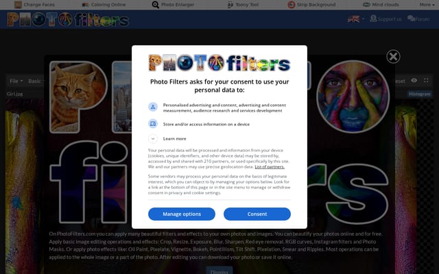 Screenshot of photofilters.com