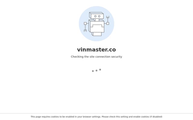 Screenshot of vinmaster.co