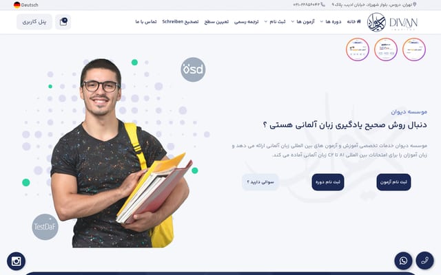 Screenshot of divan-institut.com