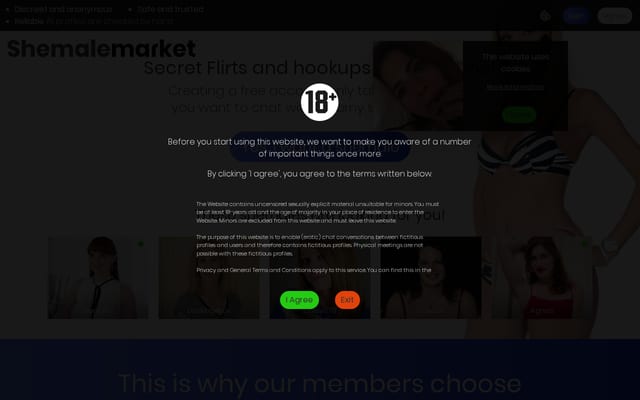 Screenshot of shemalemarket.com