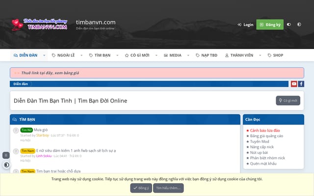 Screenshot of timbanvn.com