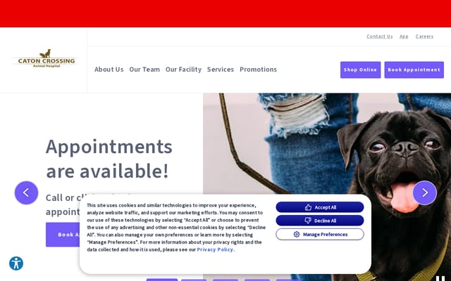 Screenshot of catoncrossinganimalhospital.com