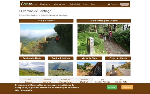 Screenshot of gronze.com