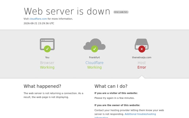 Screenshot of thenetnaija.com