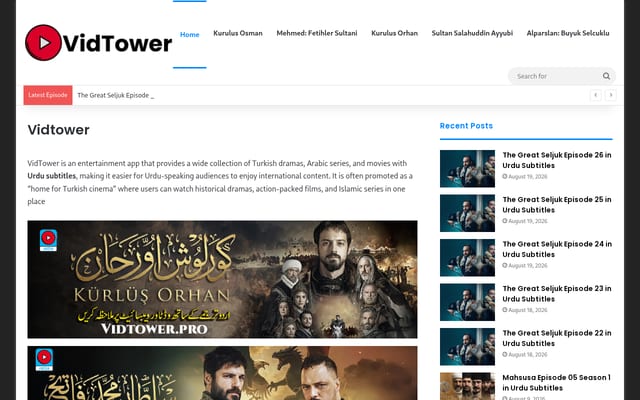 Screenshot of vidtower.pro