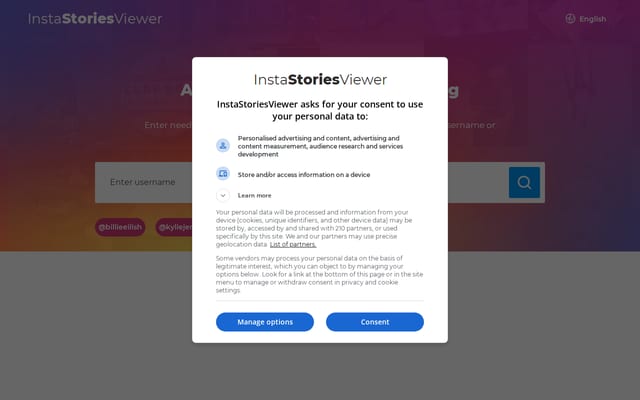 Screenshot of insta-stories-viewer.com