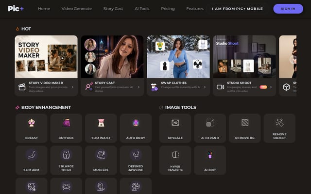 Screenshot of picplus.ai