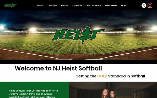 Screenshot of njheist.com