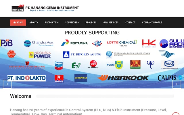Screenshot of hanang-instrument.com