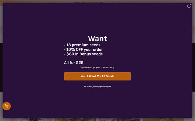 Screenshot of multiversebeans.com
