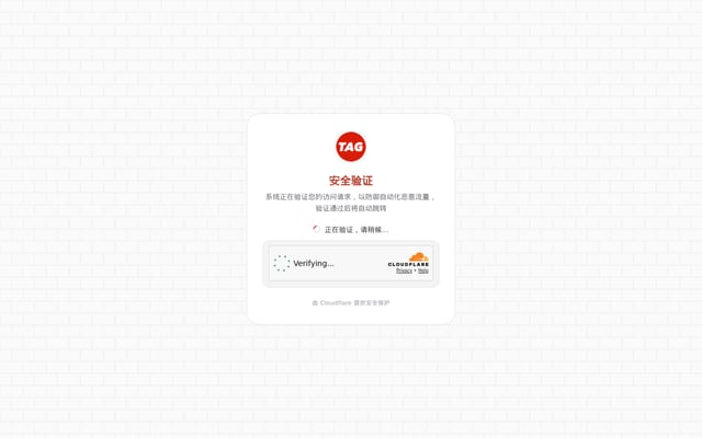 Screenshot of tagss.pro