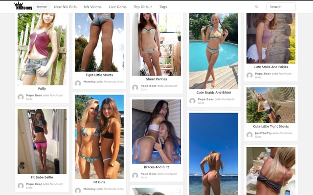 Screenshot of nnhoney.com