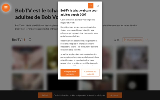 Screenshot of bobtv.fr