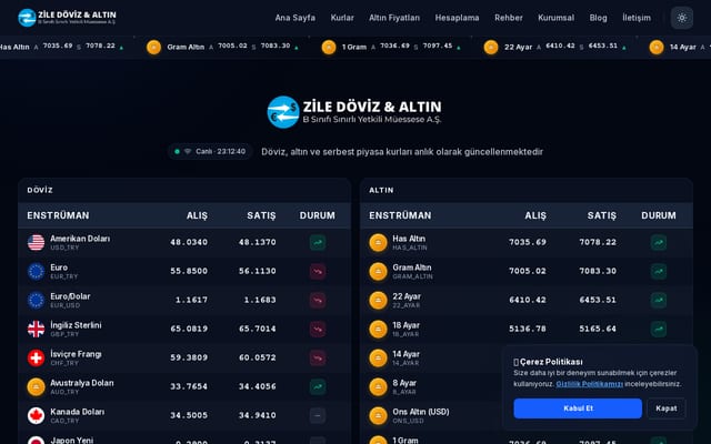 Screenshot of ziledoviz.com.tr