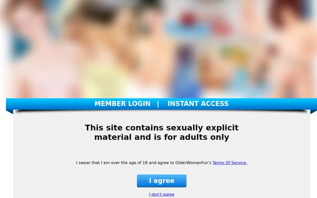Screenshot of olderwomanfun.com