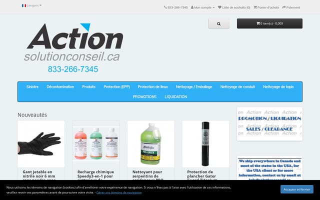 Screenshot of solutionconseil.ca