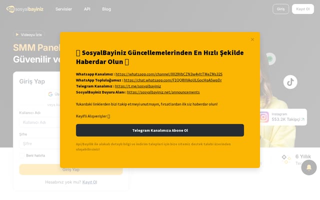 Screenshot of sosyalbayiniz.net