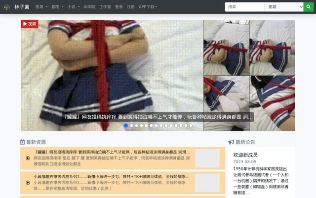 Screenshot of linzijun.app