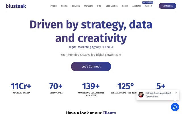 Screenshot of blusteak.com