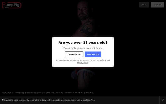 Screenshot of pumppig.com