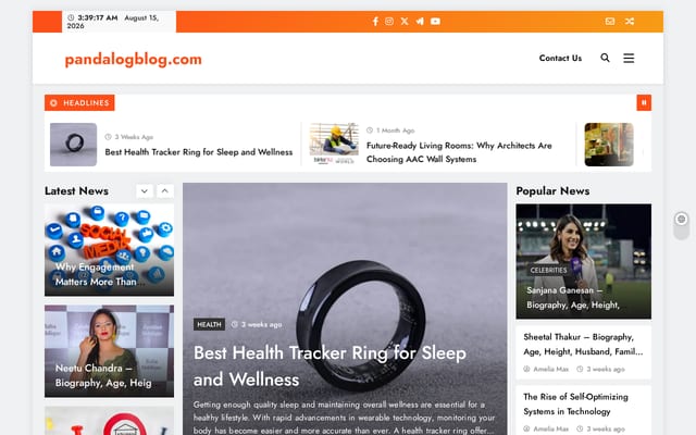Screenshot of pandalogblog.com