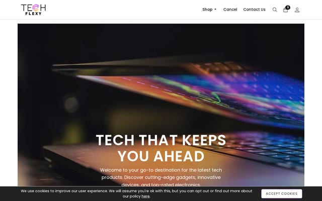 Screenshot of techflexy.com