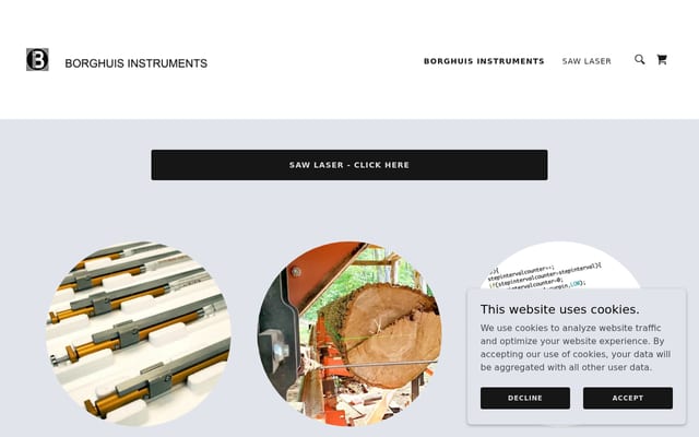 Screenshot of borghuisinstruments.com