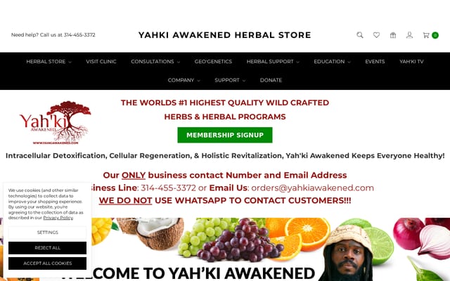 Screenshot of yahkiawakened.com