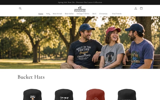 Screenshot of pandaize.com