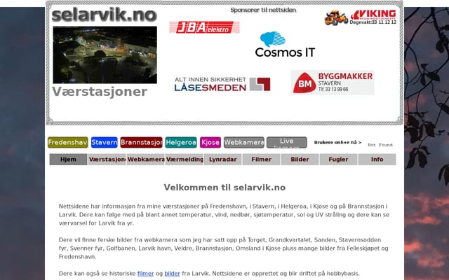 Screenshot of selarvik.no