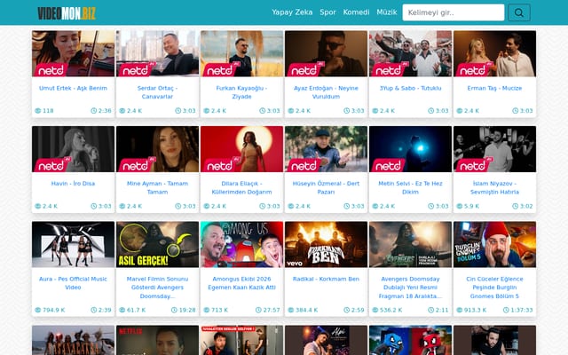 Screenshot of videomon.biz