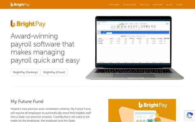 Screenshot of brightpay.ie