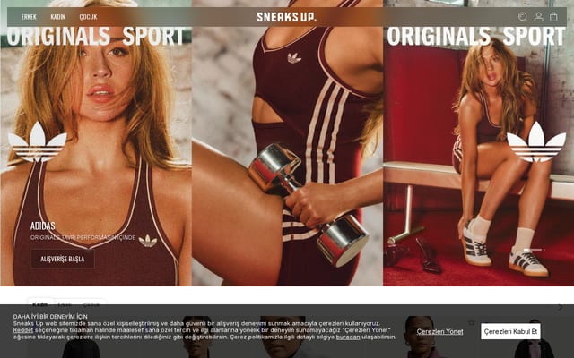 Screenshot of sneaksup.com
