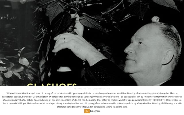 Screenshot of glashofslegat.dk