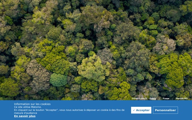 Screenshot of ird.fr
