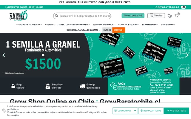 Screenshot of growbaratochile.cl