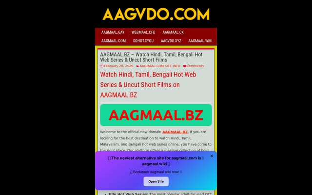 Screenshot of aagvdo.com