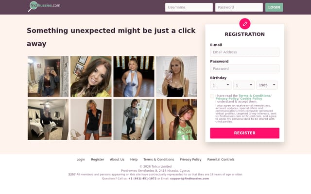 Screenshot of findhussies.com
