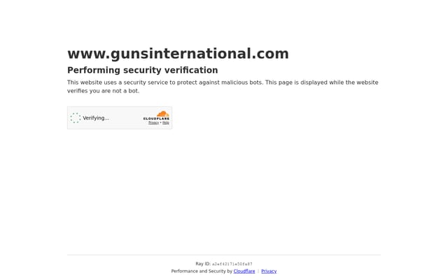 Screenshot of gunsinternational.com