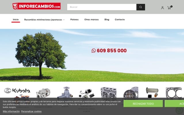 Screenshot of inforecambios.com