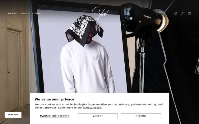 Screenshot of syleststudios.com