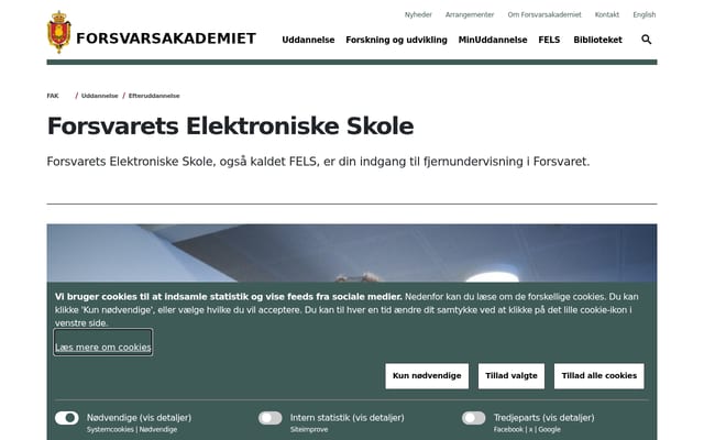 Screenshot of fels.dk