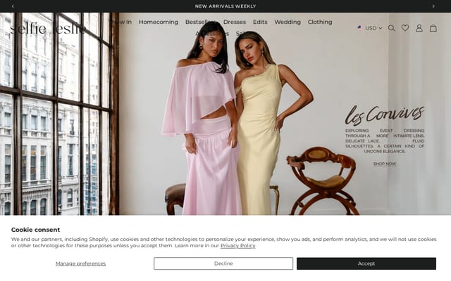Screenshot of selfieleslie.com