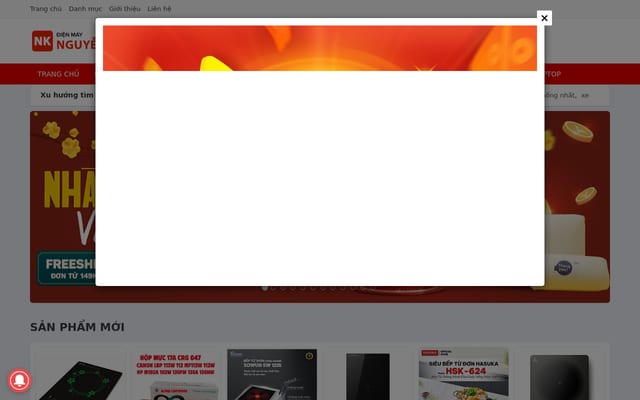 Screenshot of dienmaynguyenkim.com