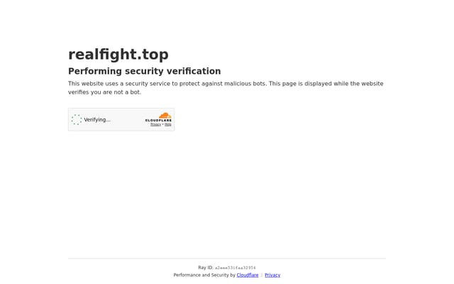 Screenshot of realfight.org
