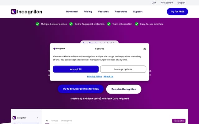 Screenshot of incogniton.com