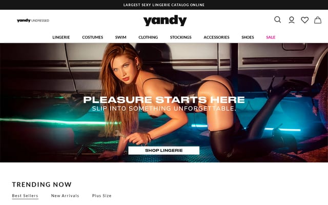 Screenshot of yandy.com