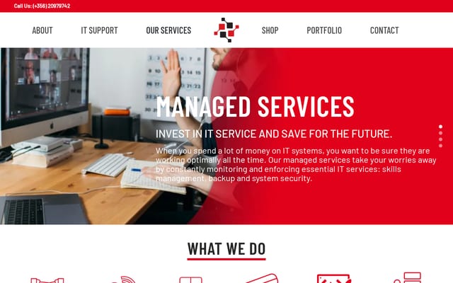 Screenshot of maltasystem.com