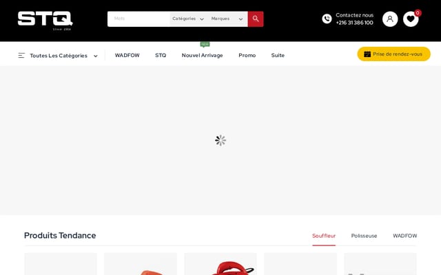 Screenshot of stq.com.tn