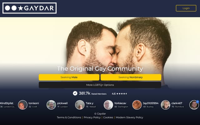 Screenshot of gaydar.net